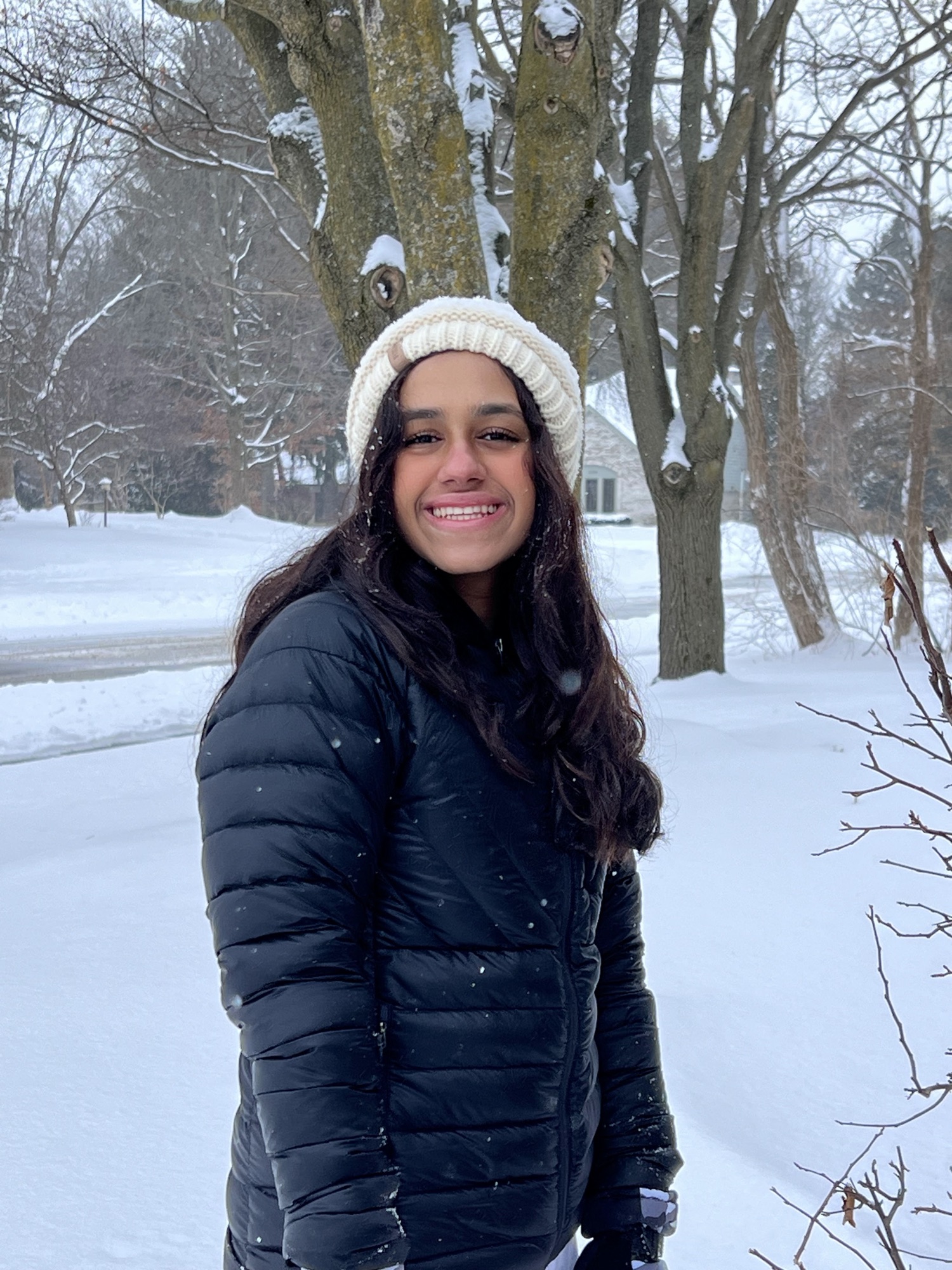 In Snowy Michigan